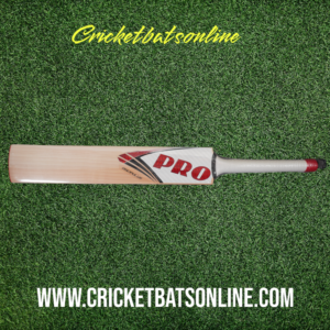 PROTOS Discipulus - Small Adults Size