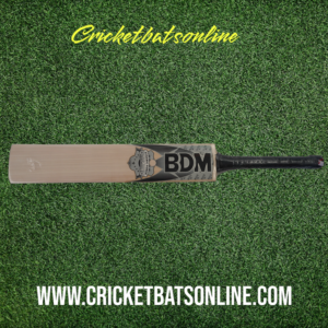 BDM DYNAMIC POWER UNTAMED