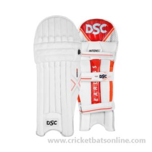 DSC BLG Intense Rage