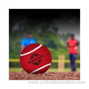 6x Nivia heavy Tennis-Cricket ball red