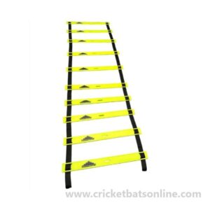 Adjustable agility Ladder 10 rung, 4 meter with bag