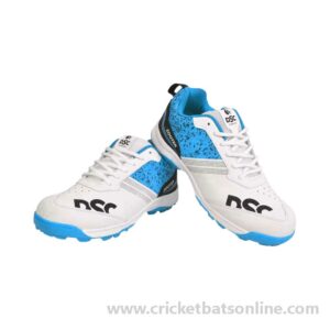 DSC Zooter Shoes Blue