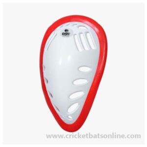 DSC Abdominal Guard Passion