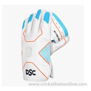 DSC WKG Intense Shoc