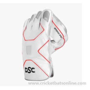 DSC WKG Intense Speed