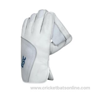 DSC intense Pro Wicket keeping gloves cricketbatsonline Austria