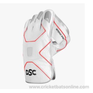 DSC intense speed wicket keeping gloves cricketbatsonline Austria